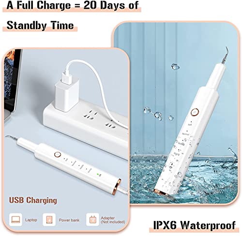 Plaque Remover for Teeth, Electric Tooth Cleaner Tartar Remover for Teeth with LED Light,4 Modes Rechargeable Teeth Cleaning Kit with Dental Tools, 2 Replaceable Heads (White A)