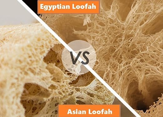 Natural Egyptian Loofahs Exfoliating Scrubber for Shower, Natural Loofah Sponge Body Scrubber, Deep Clean & Invigorate Your Skin, for Men and Women (Natural Loofah, 3, Count)